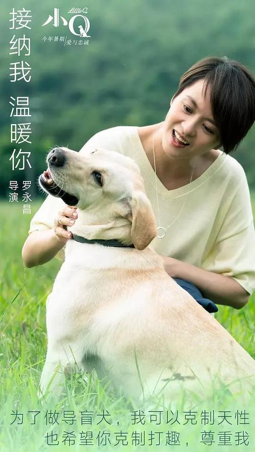 买个假台湾宏国德霖科技大学文凭毕业证